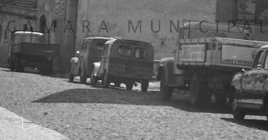 CITRO_DIVERSOS_2606-8.webp