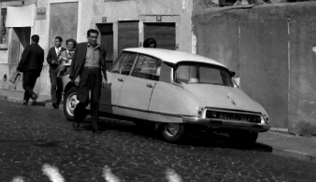 CITRO_DIVERSOS_2606-2.webp