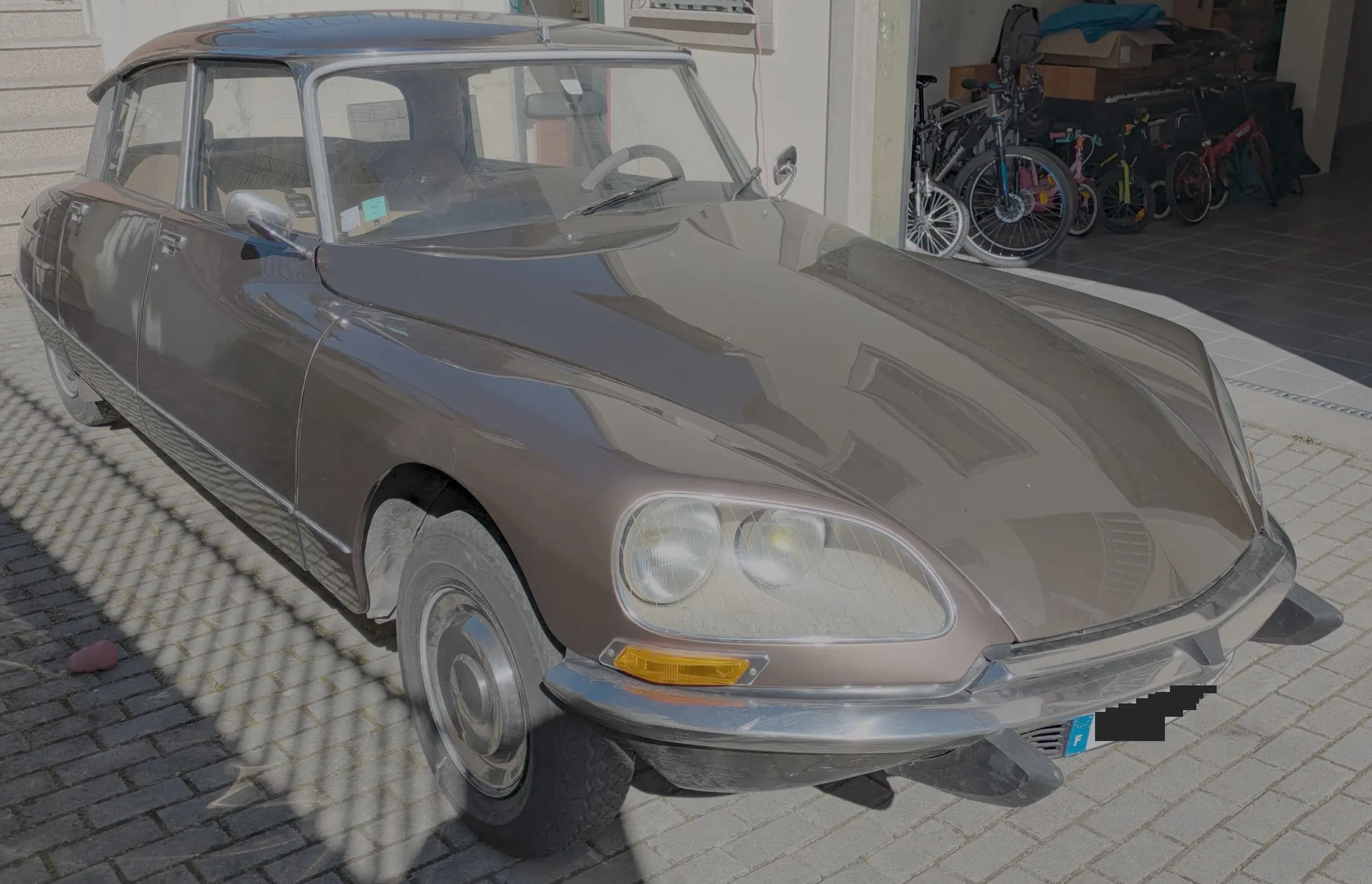 DS_3.webp