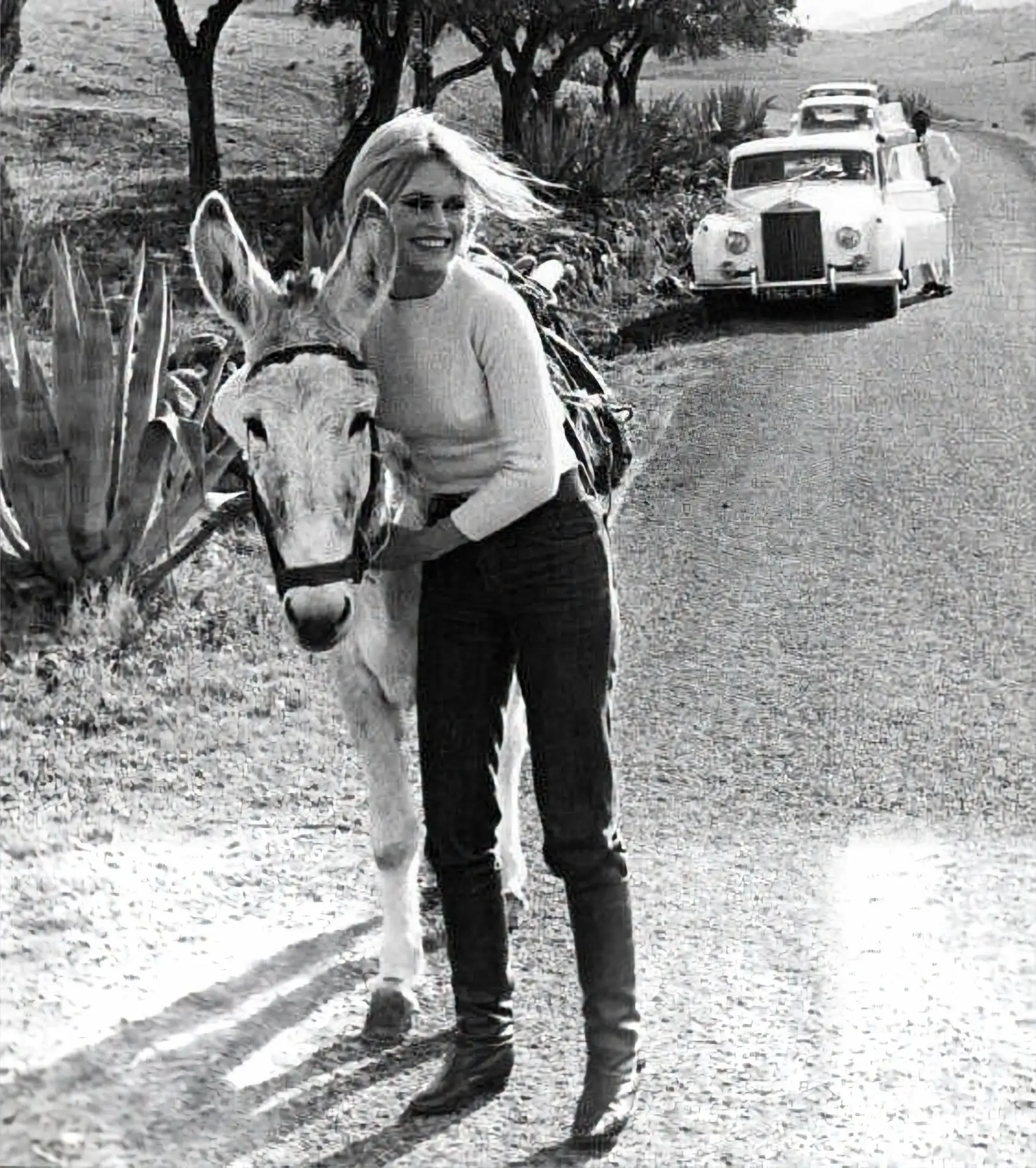 BARDOT_ROLLS-2607-8.webp